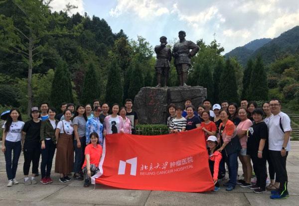 比亚迪:2023年预计净利润290亿元-310亿元