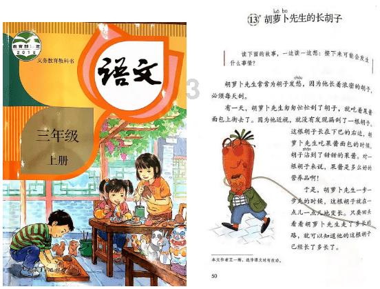 最美山外大人 ▏姜燕:初心不染,一片丹心向阳开